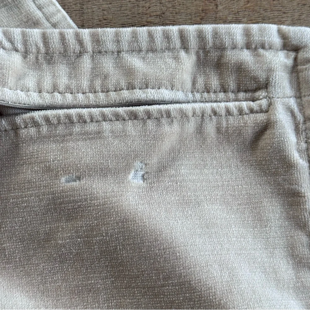 Pottery Barn 20 x 20 Beige Velour Feel Square Pillow Covers Set of 2